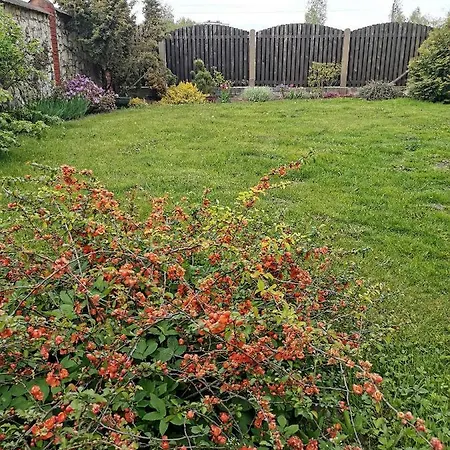 Garden View Home Mārupe Exterior photo